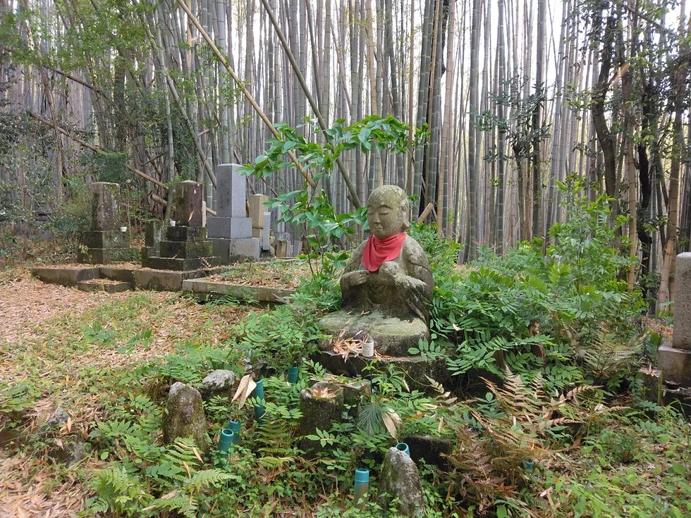 🌳 교토부립 야마시로 종합 운동공원 (타이요가오카) 이미지 4